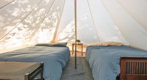 Cozy Bell Tent in Palomar Mountains - Image 2