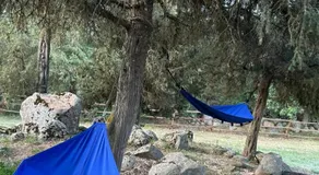 Mi casita de madera - Image 5