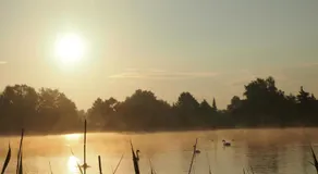 Ferienwohnungen am Schwanenteich - Image 5