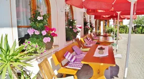 Hotel Schwarzenbergs Traube - Image 4