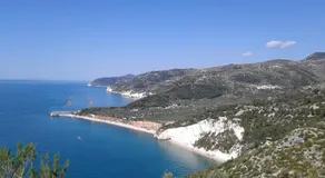 Villarichi - Image 5
