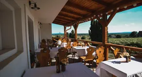 Somló Kolonics Kúria - Image 3