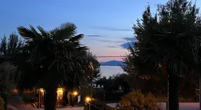 Levar Del Sole - Image 3