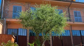 Belvedere Bike Hotel - Image 4