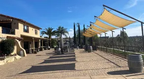 Casita Vino Dog-Friendly Vineyard Retreat & Stay - Image 5