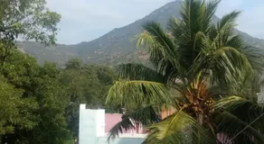 Vijaya Guest House - Image 5
