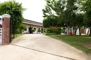 Phatthong - Image 3