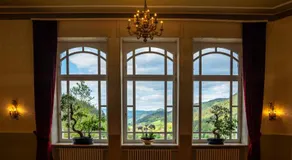Hotel Schloss Hornberg - Image 4