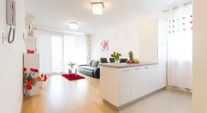 APARTMENTS ARIJANA free private garage and sea view - Image 3