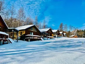 Birch Forest Cottage - Image 3
