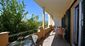 Tri palme - Image 3