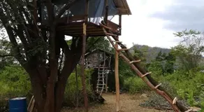 Sorabora like view camps - Image 4