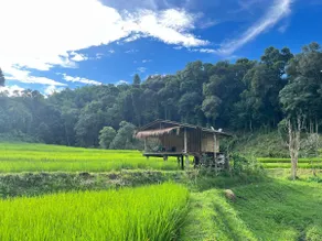 Chibacall ชิบะคอล, Karen Mountain Hideaway Homestay - Image 4