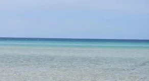 Serenity at Island Beach - Image 4