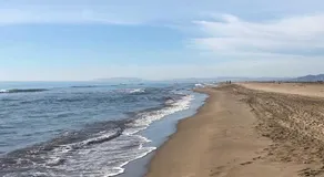 Arte y natura en la playa de Eucaliptus - Image 5