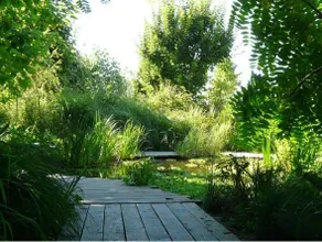 La Saline Royale - Image 4