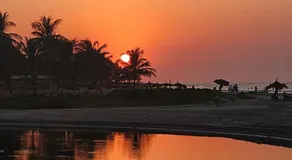 POMBO KUNDA - Image 5