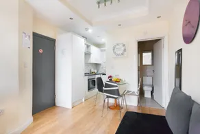 Euston Budget Apartment and Rooms - Image 3