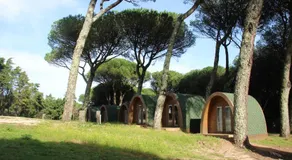 Montejunto Bungalows - Image 5