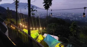 ZOYA HILLS - Image 5