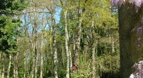 Pavillon de Launay Guibert - Image 4