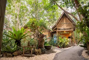 Bohol Coco Farm Hostel - Image 2