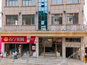 Cat Camp Hotel - Image 5