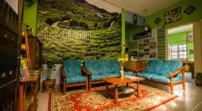 Orchid Haven - Image 5
