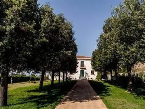 La Pizzuta del Principe - Image 4