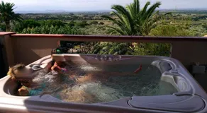 Suite & Spa Panoramic Olivars - Image 4