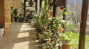 Guest House Nanu - Image 3