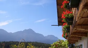 Appartamento con terrazza, barbecue e giardino | Vista sul giardino - Image 3