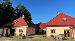 Słonecznikowe gniazdko - Image 4