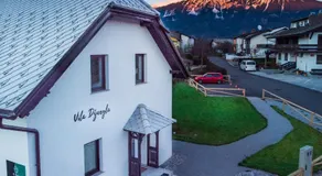 The Jungle Apartments and Rooms (Vila Džungla) - Image 3