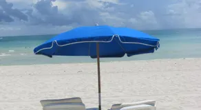 Ocean Dream - Image 5
