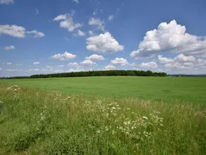 A holiday home in the heart of the Ardennes. - Image 2