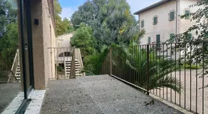 El Freixe de l'Ylla - Image 5