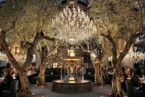 Signature Collection at The Napa Residences, Steps to Wineries, Limited Time Offer - Image 3