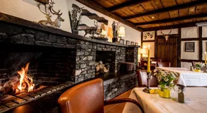 Sauerland Alpin Hotel - Image 4