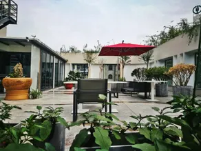 Ginkgo No.8 Homestay - Image 5