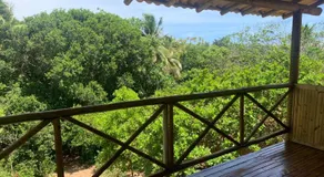 Casa da mata- Vista linda pra mata e jardim privativo - Image 4