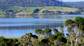 Olive's Cottage and Gardens - Mesmerising Views - Image 4