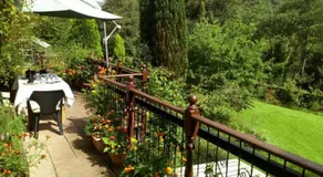 Special accommodation for Business, Commercial or Professional Guests - Image 5