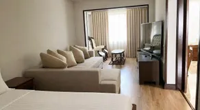 Hotel Trei Brazi - Image 2