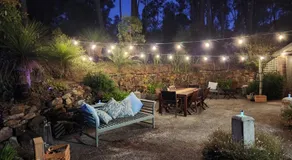 The Lavender Patch - Image 4
