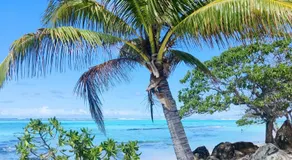 ALAROOTS HUAHINE - Image 4