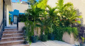 Casa Palencia Hotel and Breakfast - Image 5