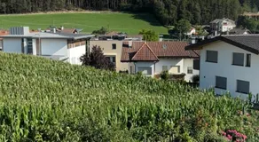 Villa Silvia - Image 4