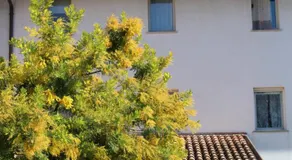 Alla Stazione - Image 5