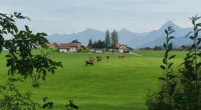 Pension Weißer Hirsch - Image 5